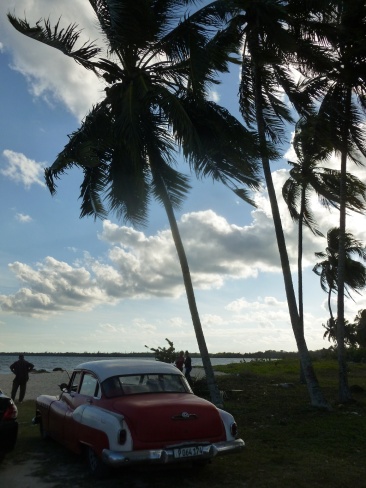 Cuba - Playa Larga